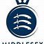 Image result for Middlesex Cricket Logo