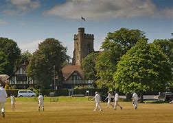 Image result for Cricket Green