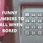 Image result for Funny Prank Call Numbers