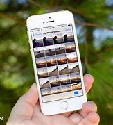Image result for iphone 5 cameras quality