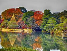 Image result for Japanese Nature