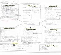 Image result for Nursing Concept Map Examples CHF