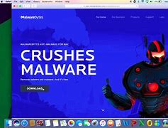Image result for Malwarebytes Meaning