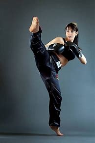 Image result for Women in Martial Arts Poses