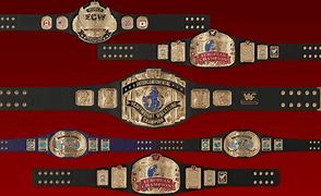 Image result for Garry's Mod Wrestling Belts