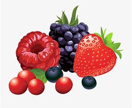 Image result for Berry ClipArt