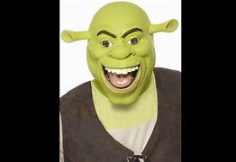 Image result for Goofy Ahh Shrek