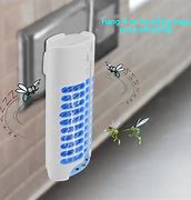 Image result for Bug Traps Indoor