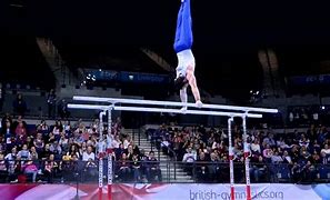 Image result for Parallel Bars History