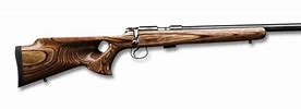 Image result for Anschutz Rifles PCP
