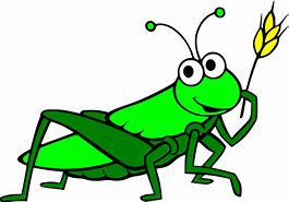 Image result for Grasshopper Cartoon Transparent