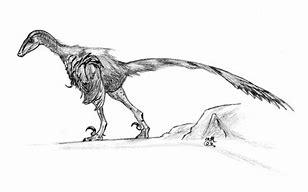 Image result for Top 10 Coolest Dinosaurs