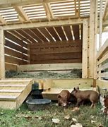 Image result for Novo Nordisk Mini Pig Housing