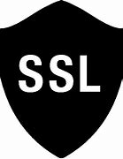 Image result for SSL Icon RL