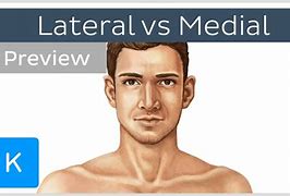 Image result for Lateral