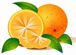 Image result for Apple and Oranges Vector Imges