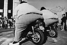 Image result for Fat Twins On Motorbikes