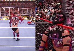 Image result for Finn Balor Injury Hell in the Cell