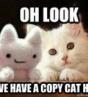 Image result for Copy Cat Meme