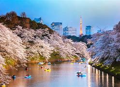 Image result for Cool Things About Japan