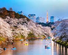 Image result for Places to Visit in Tokyo