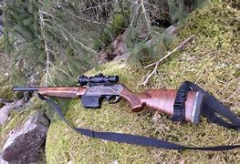 Image result for Best Guns Semi-Automatic