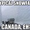 Image result for Snow Funny Animal Memes