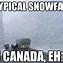 Image result for Cute Snow Animal Memes