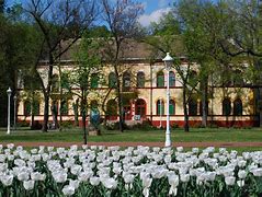 Image result for Subotica Palic