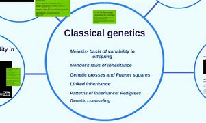 Image result for Classical Genetics
