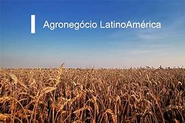 agroamericano 的图像结果