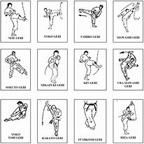 Image result for Karate Move Martial Arts