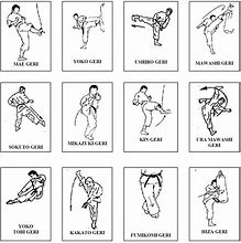 Image result for Karate Moves That Work