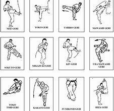 Image result for Karate Attacks