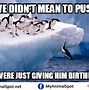Image result for African Penguin Meme