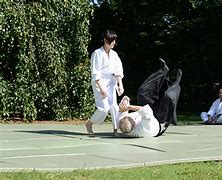 Image result for aikido dojo