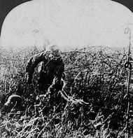 Image result for WW1 Skull