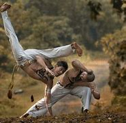Image result for Fighting Dreams Martial Arts