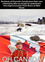 Image result for Silence Canadian Meme