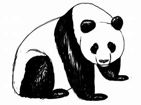 Image result for A Drawing of a Panda