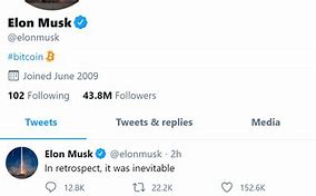 Image result for Elon Musk BTC