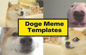 Image result for Doge Being a Storm Meme Template