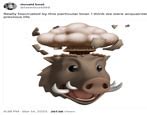 Image result for iPhone Boar Exploding