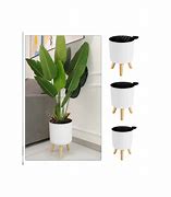 Image result for 3D Print Transparent Flower Pots Drain