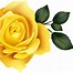 Image result for Yellow Roses Clip Art