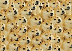 Image result for Rare Doge Memes Clean
