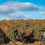 Image result for La Rioja Wine Tour