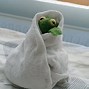 Image result for Kermit the Frog with Glasses