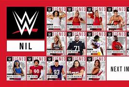 Image result for WWE College