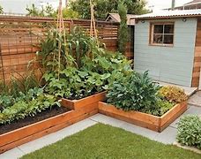 Image result for 1 Acre Vegetable Garden
